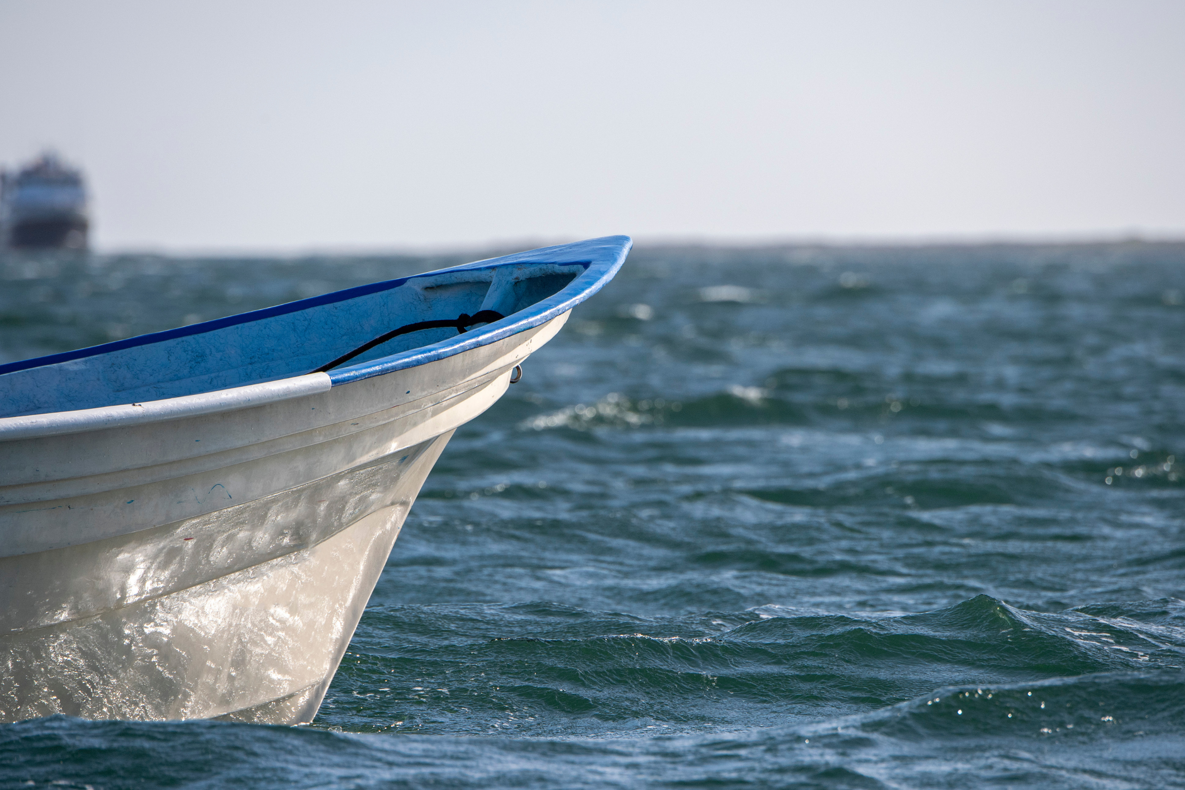 magdalena bay (4).webp